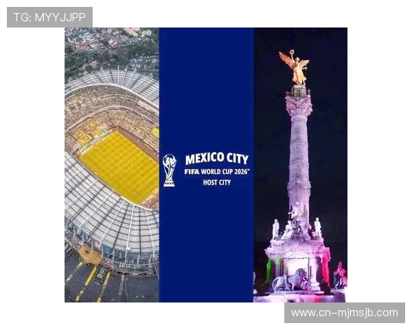 2026年世界杯下一次在哪个国家举行，详细预测与官方公告分析