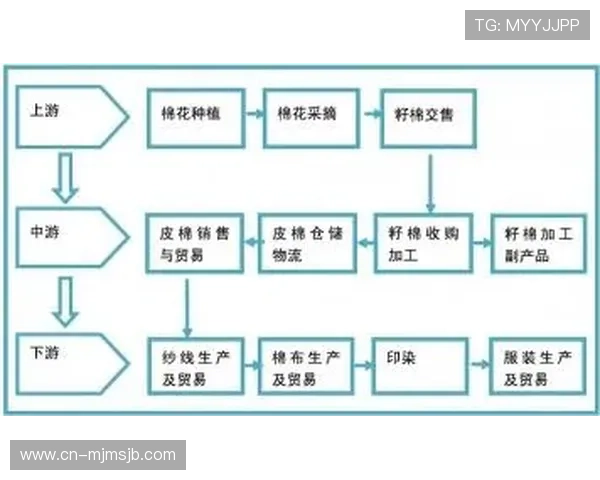 世界杯扩军政策实施后对足球产业链和相关产业的推动作用分析 世界杯扩军政策实施后对足球产业链和相关产业的推动作用分析