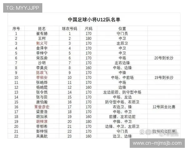中国足球世界杯预选赛分组最新动态，关注赛程变化及各队备战策略解读