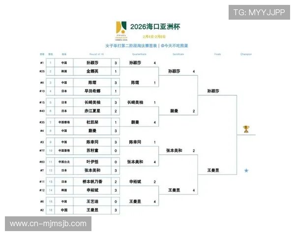 全面解读2026年世界杯亚洲区预选赛赛制的具体流程与比赛安排