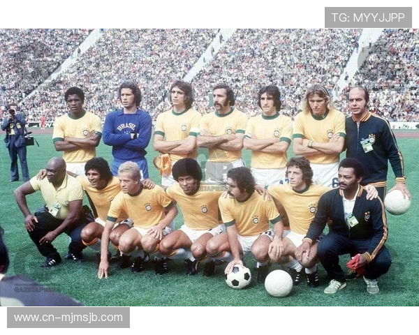 巴西世界杯决赛冠军归属揭秘以及比赛背后的战术分析