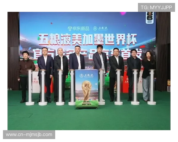 2026年世界杯举办国直播版权情况，详细介绍各国官方授权的直播平台