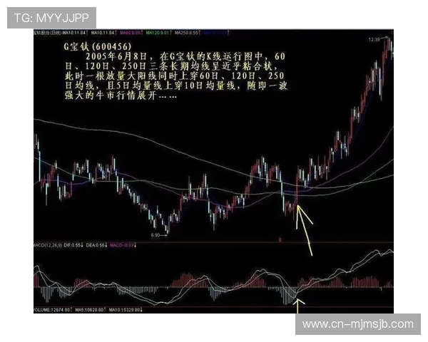买球怎么玩才能稳赚不赔专家为你揭秘实用技巧