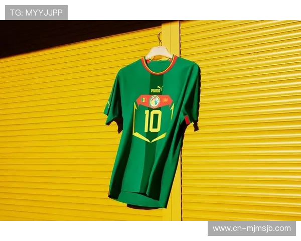 2026年世界杯法国对阵塞内加尔周边商品推荐及购买指南